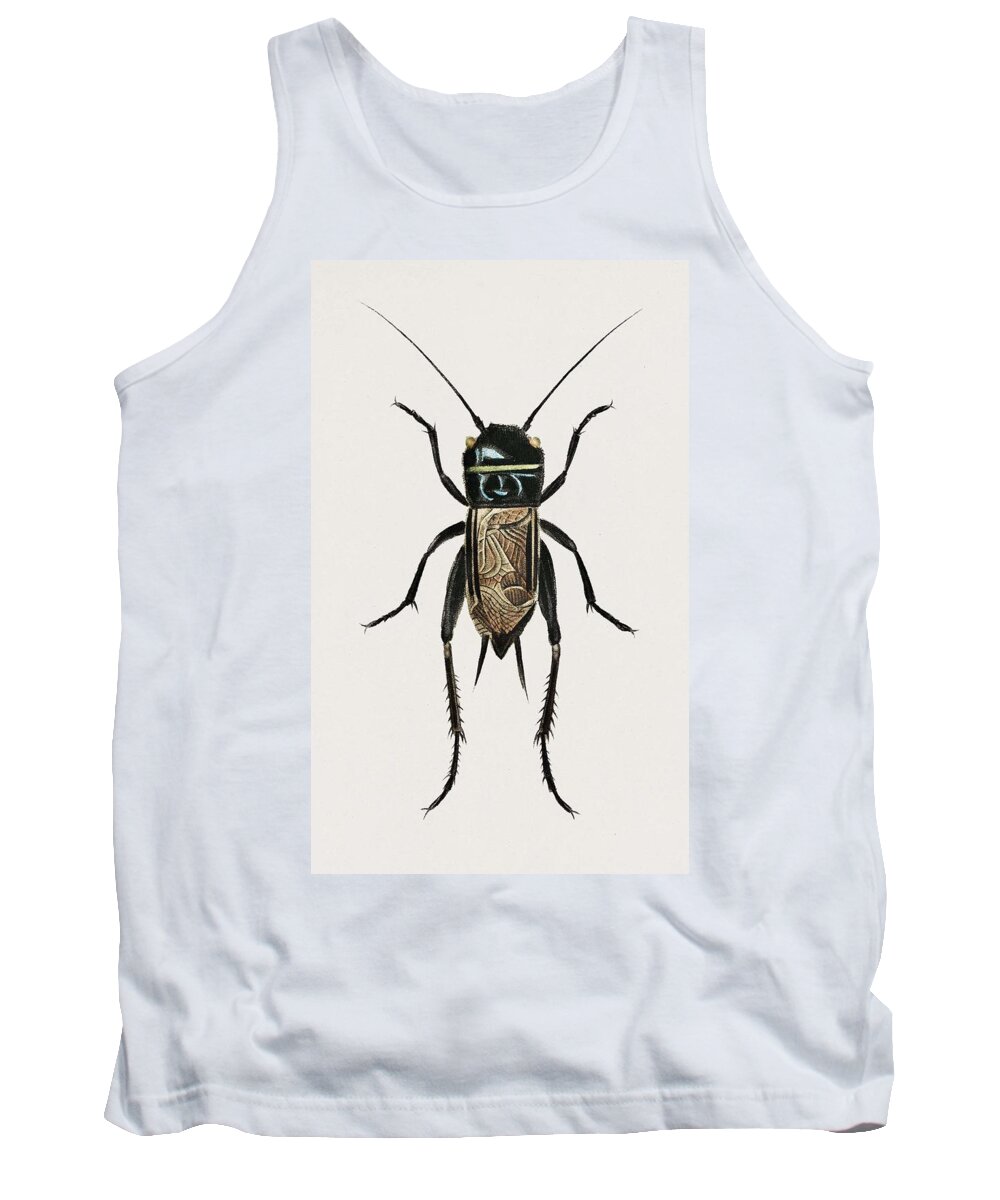 Insect Tank Top featuring the painting Field crickets Gryllus campestris illustrated by Charles Dessalines D Orbigny 1806 1876 by Celestial Images