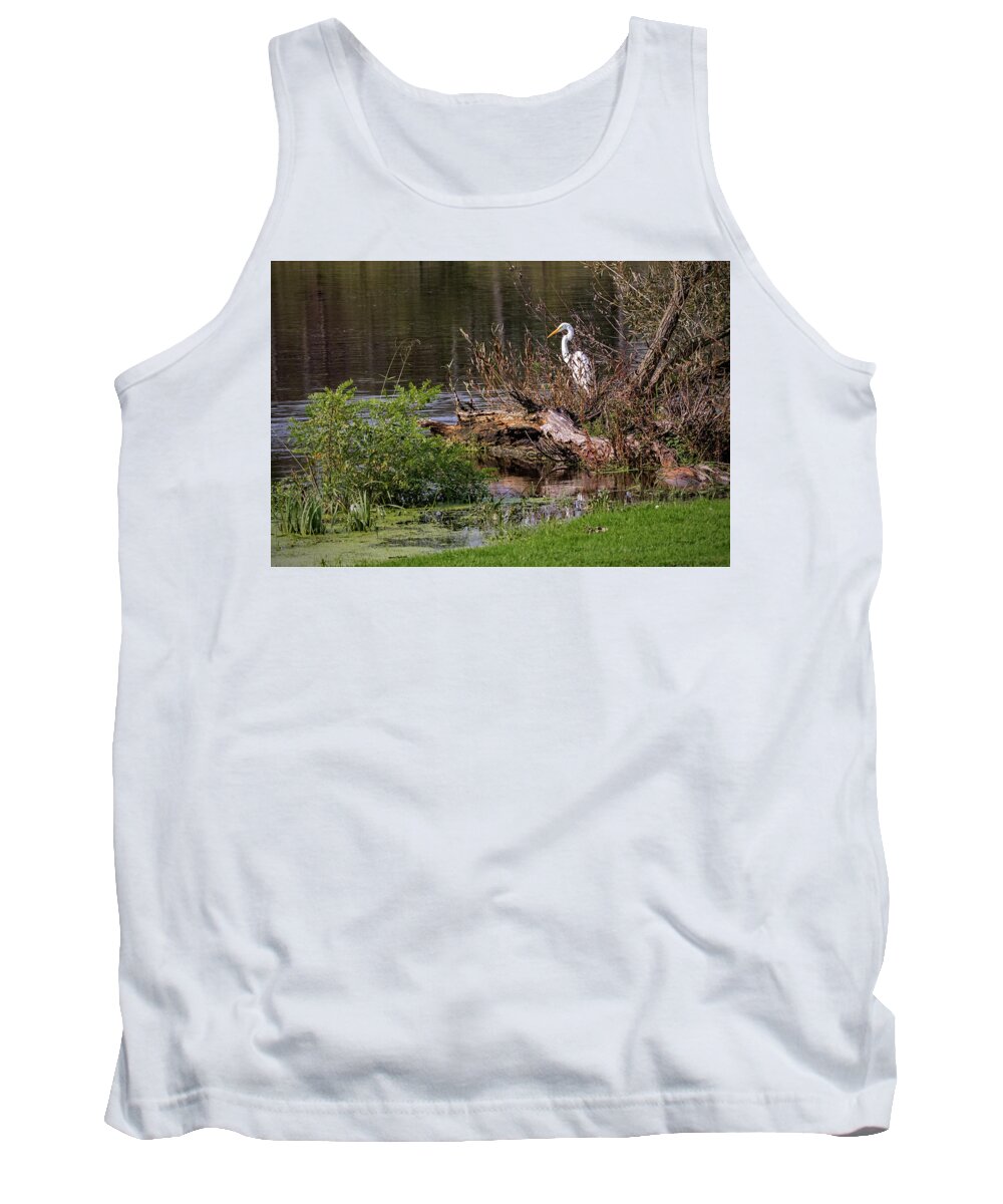 Bird Tank Top featuring the photograph Great Egret at River's Edge by Ira Marcus