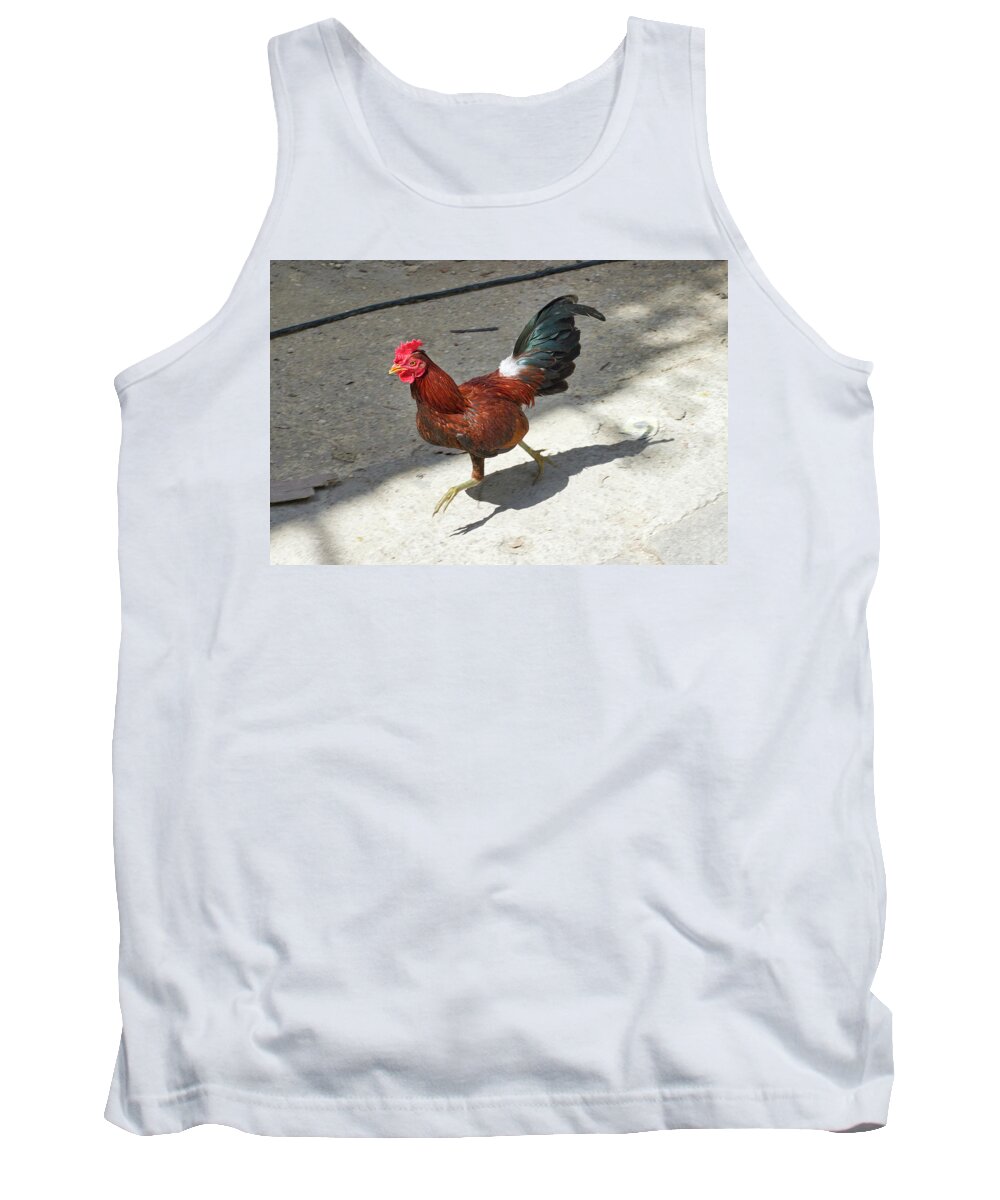 Rooster Tank Top featuring the photograph Havana Rooster by Paul Rebmann