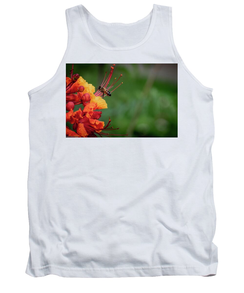 Pride Of Barbados Tank Top featuring the photograph Honey Bee Extraction by G Lamar Yancy