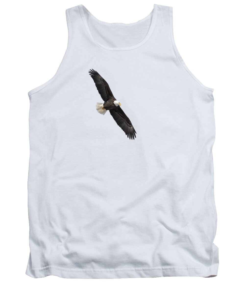 Bald Eagle Tank Top featuring the photograph Isolated Bald Eagle 2019-1 by Thomas Young