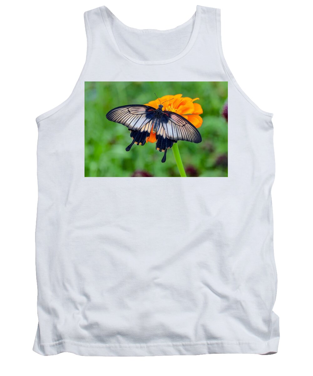 Butterfly Tank Top featuring the photograph Kite Swallowtail by Susan Rydberg