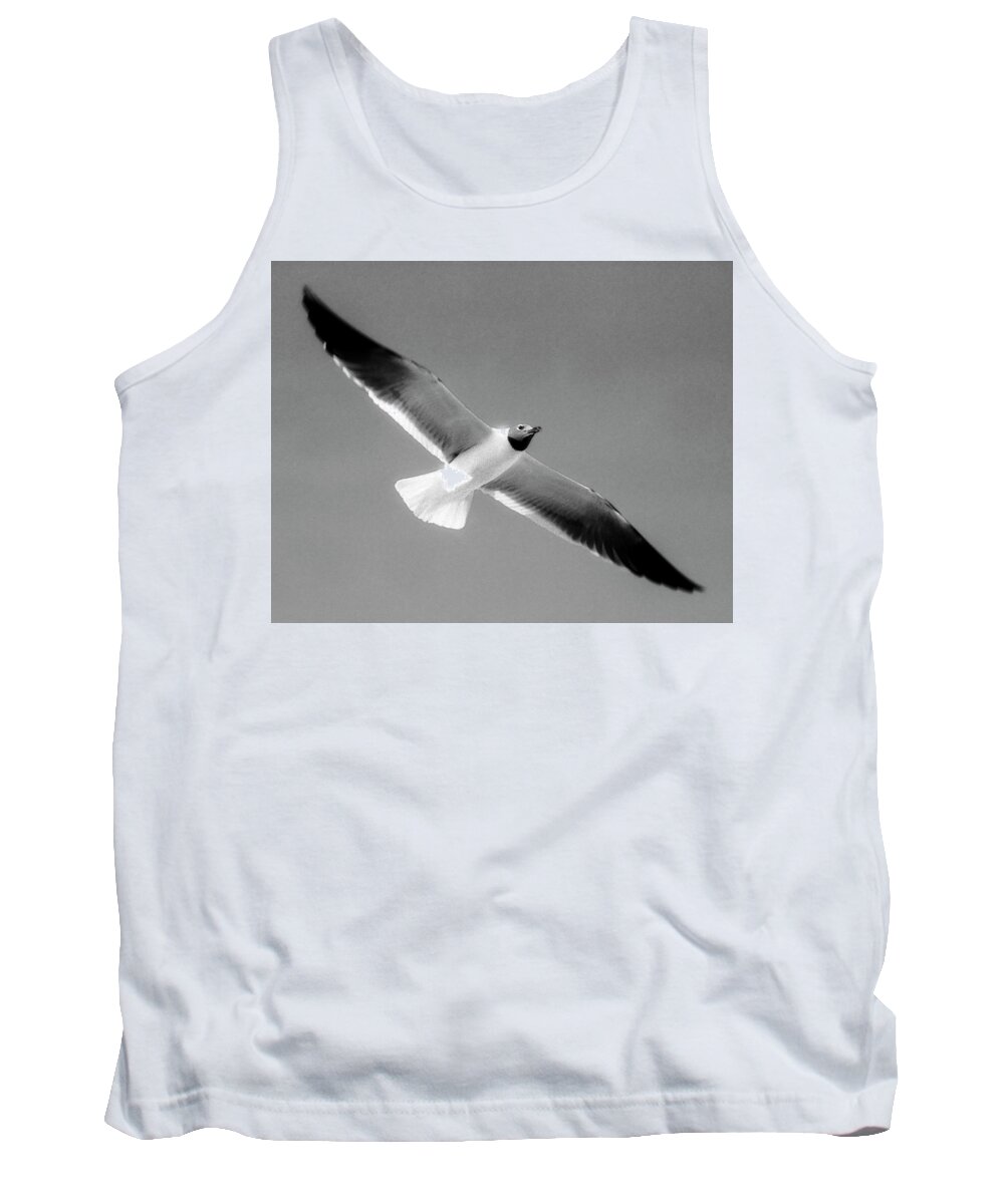 Laughing Seagull Tank Top featuring the photograph Laughing Seagull by Greg Reed