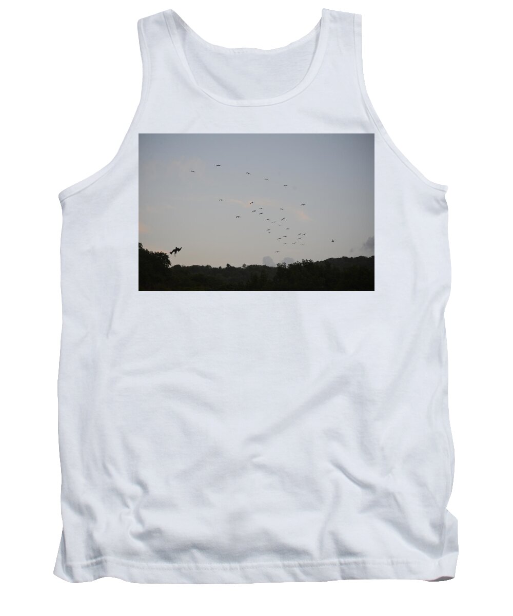 Brown Pelican Tank Top featuring the photograph Morning Flock Rise by Climate Change VI - Sales
