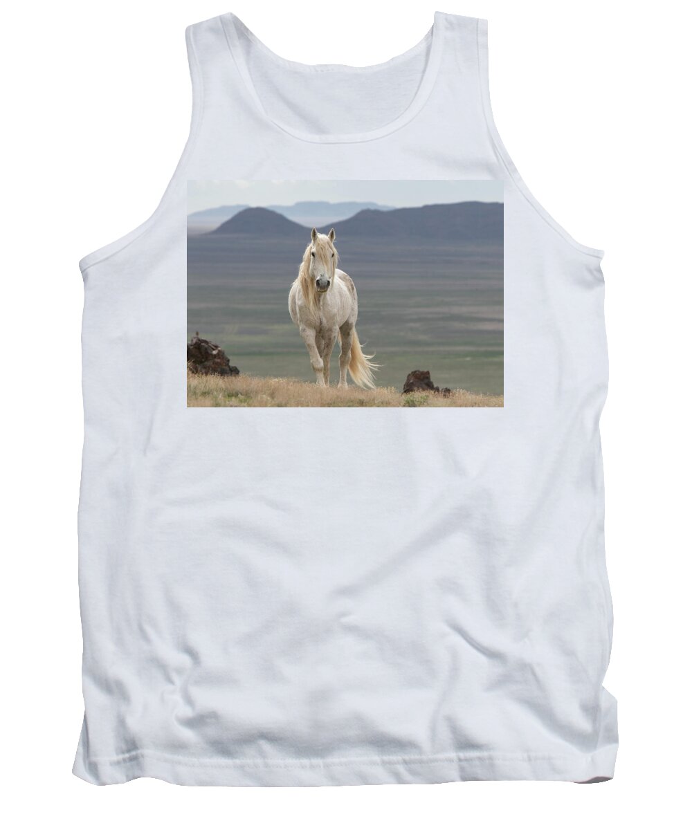 Horse Tank Top featuring the photograph My Old Friend by Kent Keller