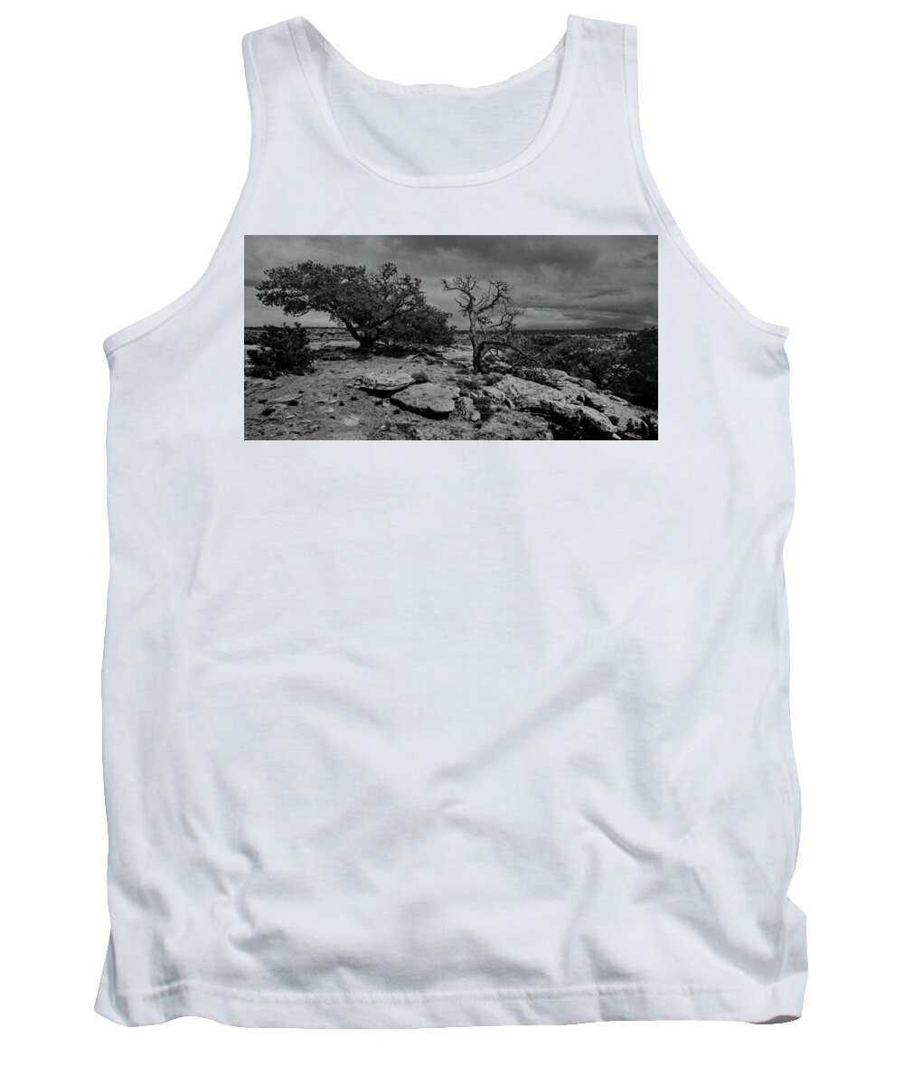 Utah Tank Top featuring the photograph Over Looking the Desert by S Katz