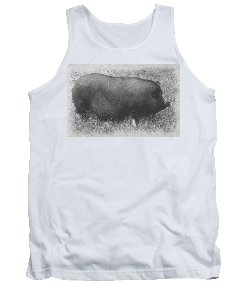 Pig Tank Top featuring the photograph Pot Belly by Richard Ortolano