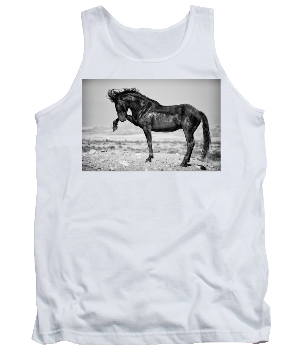 Wild Horse Tank Top featuring the photograph Power and Beauty by Mary Hone