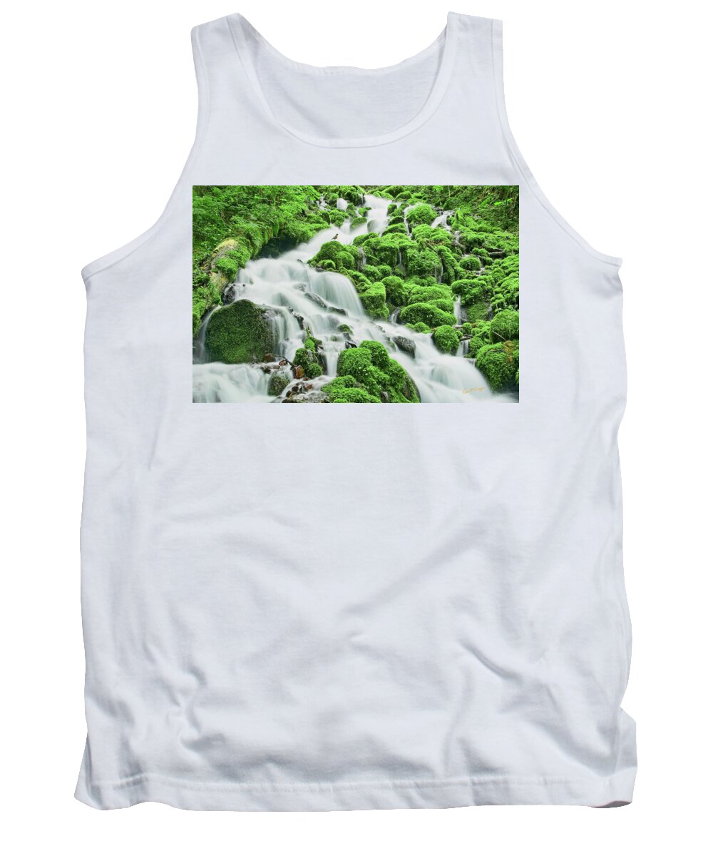 Robin Tank Top featuring the photograph Robin's Moment by Dan McGeorge