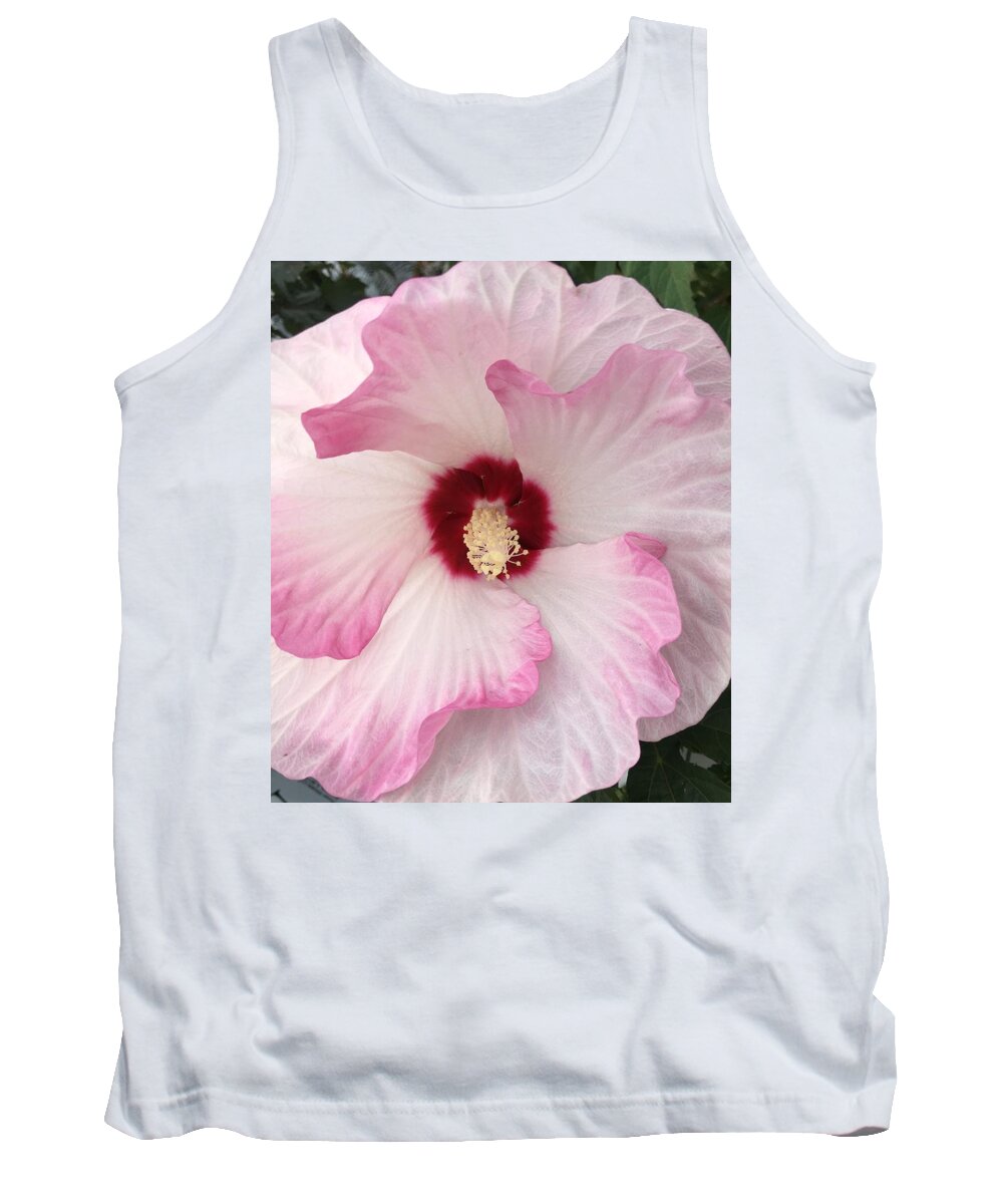 Hibiscus Tank Top featuring the photograph Ruffles and Ruby by Anjel B Hartwell