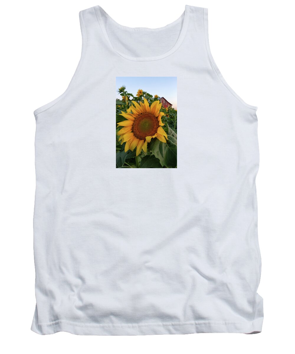 Sunflowers Tank Top featuring the photograph Sunflowers 14 by Heather Kenward