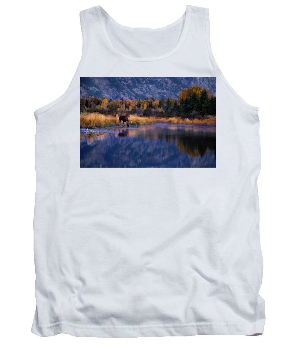 Tetons Moose And Lakeshore In Autumn Tank Top featuring the photograph Tetons Moose and Lakeshore in Autumn by David Chasey