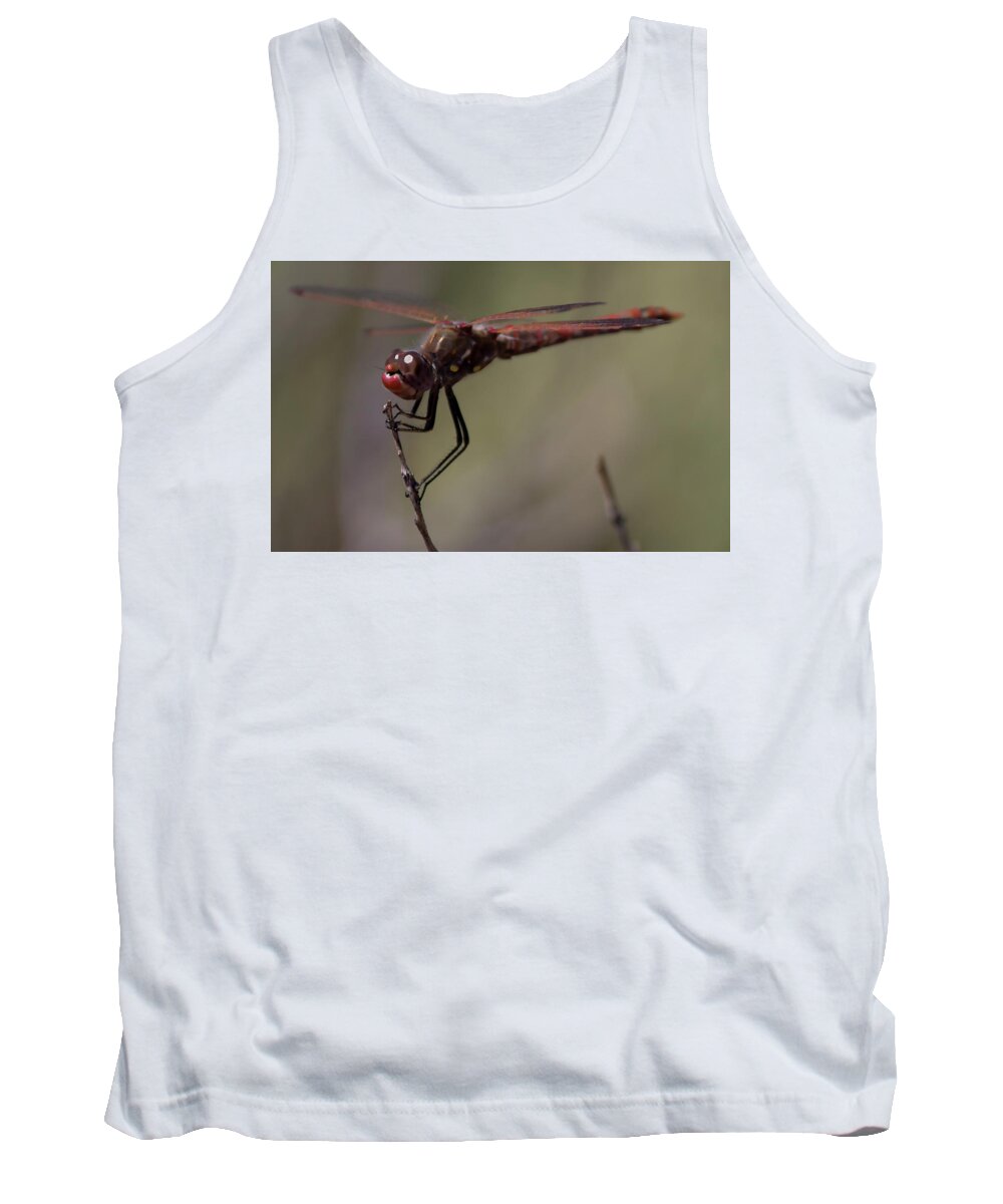 Dragonfly Tank Top featuring the photograph The Dragonfly's Eyes by Jonathan Thompson