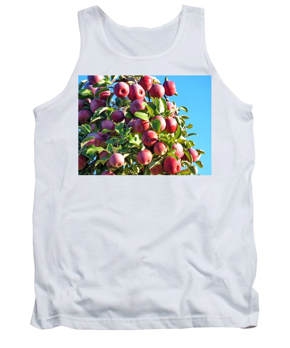 Apple Tank Top featuring the photograph Welcome Apple Pickers by Lyuba Filatova