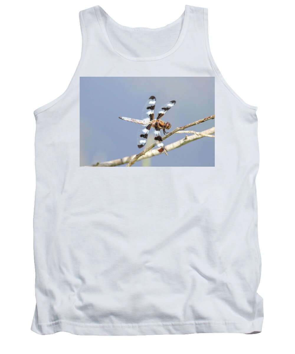 12 Spotted Skimmer Tank Top featuring the photograph 12 Spotted Skimmer Dragonfly by Brook Burling