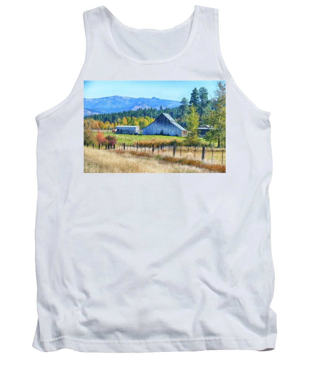 Cle Tank Top featuring the photograph Horse and old barn in pasture along the Teanaway #2 by Steve Estvanik