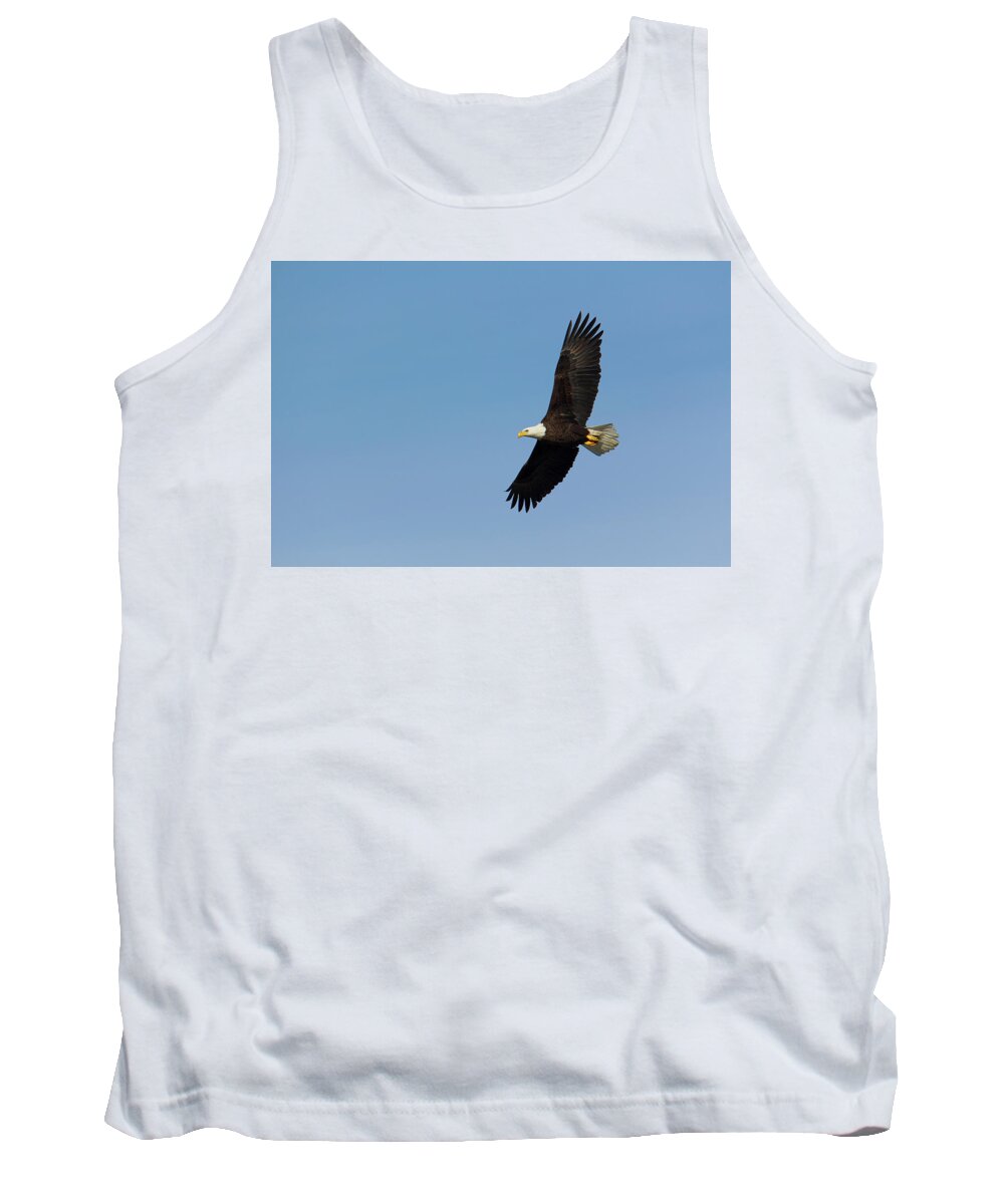 Adult Tank Top featuring the photograph Adult bald eagle soars overhead by Charles Floyd