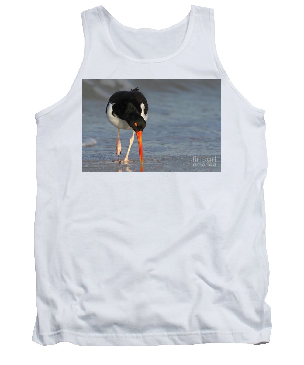 American Oystercatcher Tank Top featuring the photograph American Oystercatcher Walking the Beach by Meg Rousher