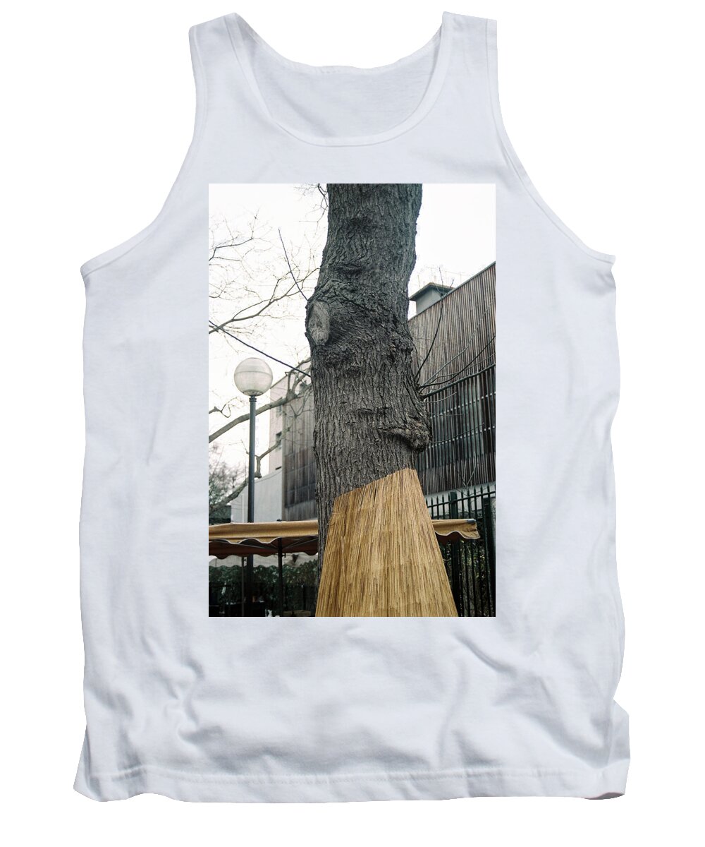 Tree Tank Top featuring the photograph An almost human tree by Barthelemy De Mazenod
