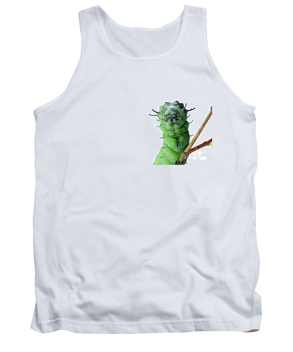 Attacus Tank Top featuring the photograph Attacus atlas caterpillar by Frederic Bourrigaud