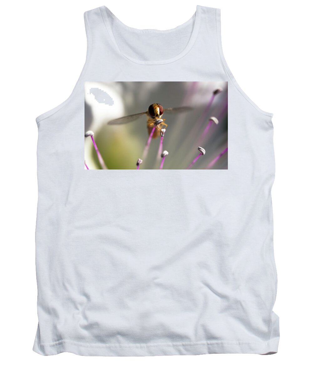 Animal Tank Top featuring the photograph Belted hoverfly on a caper flower by Jean-Luc Farges