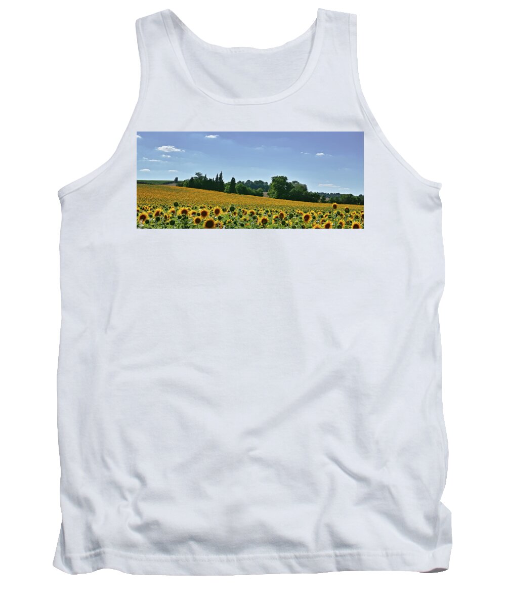 Landscape Tank Top featuring the photograph Cardinal points by Karine GADRE