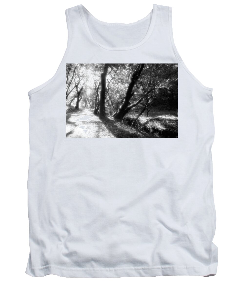 Country Road Tank Top featuring the photograph Deer Park Fire Road, Fairfax CA by John Parulis