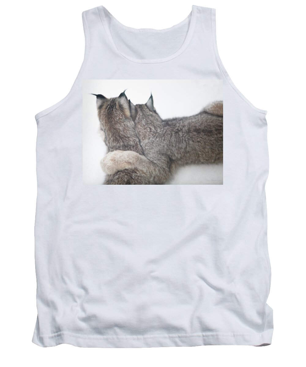 Lynx Tank Top featuring the photograph Forever Lynked by Tim Newton