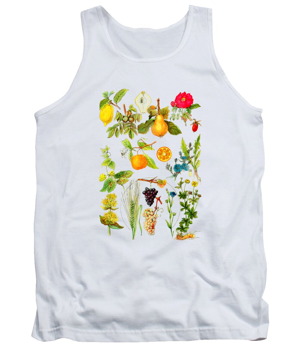 Fruit Chart In Color Tank Top