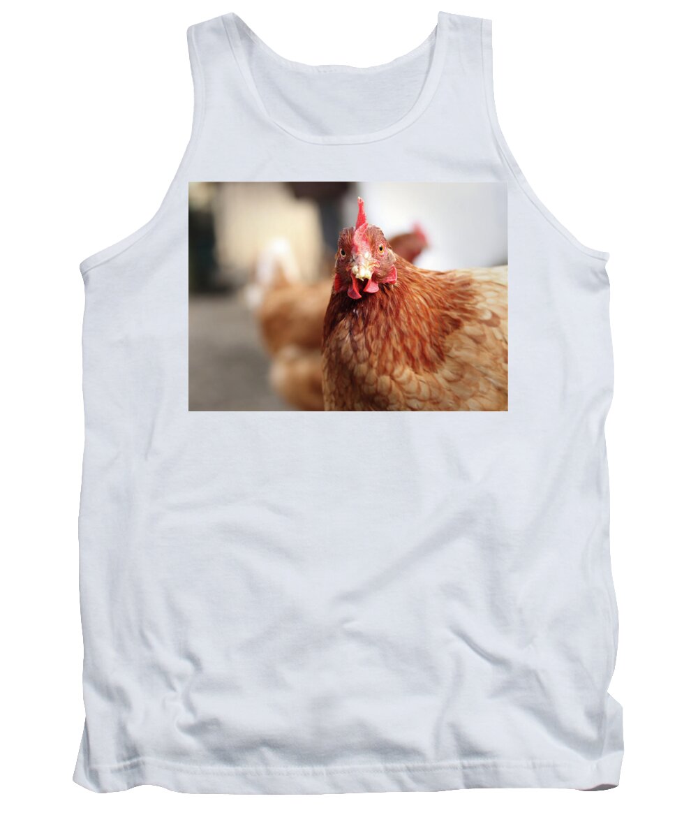 Salute Tank Top featuring the photograph Funny expression of domestic hen on the garden by Vaclav Sonnek