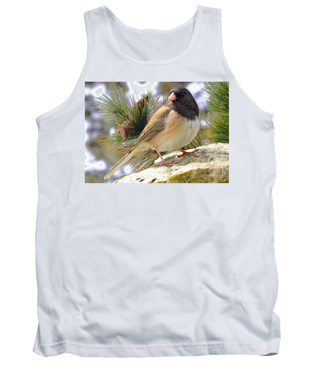 Junco Tank Top featuring the photograph Junco And Pine by Kimberly Furey