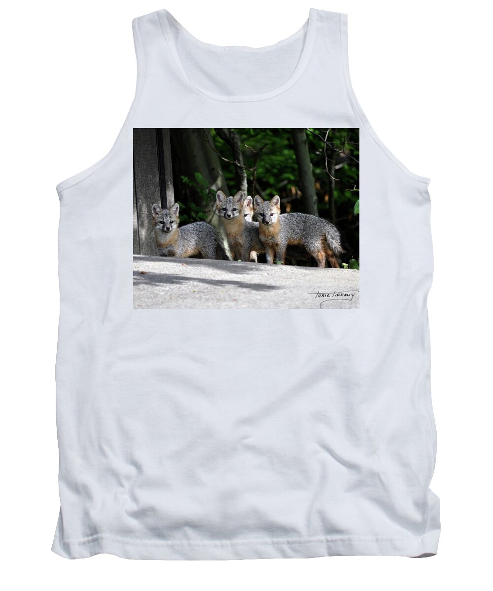 Kit Fox Tank Top featuring the photograph Kit Fox9 by Torie Tiffany