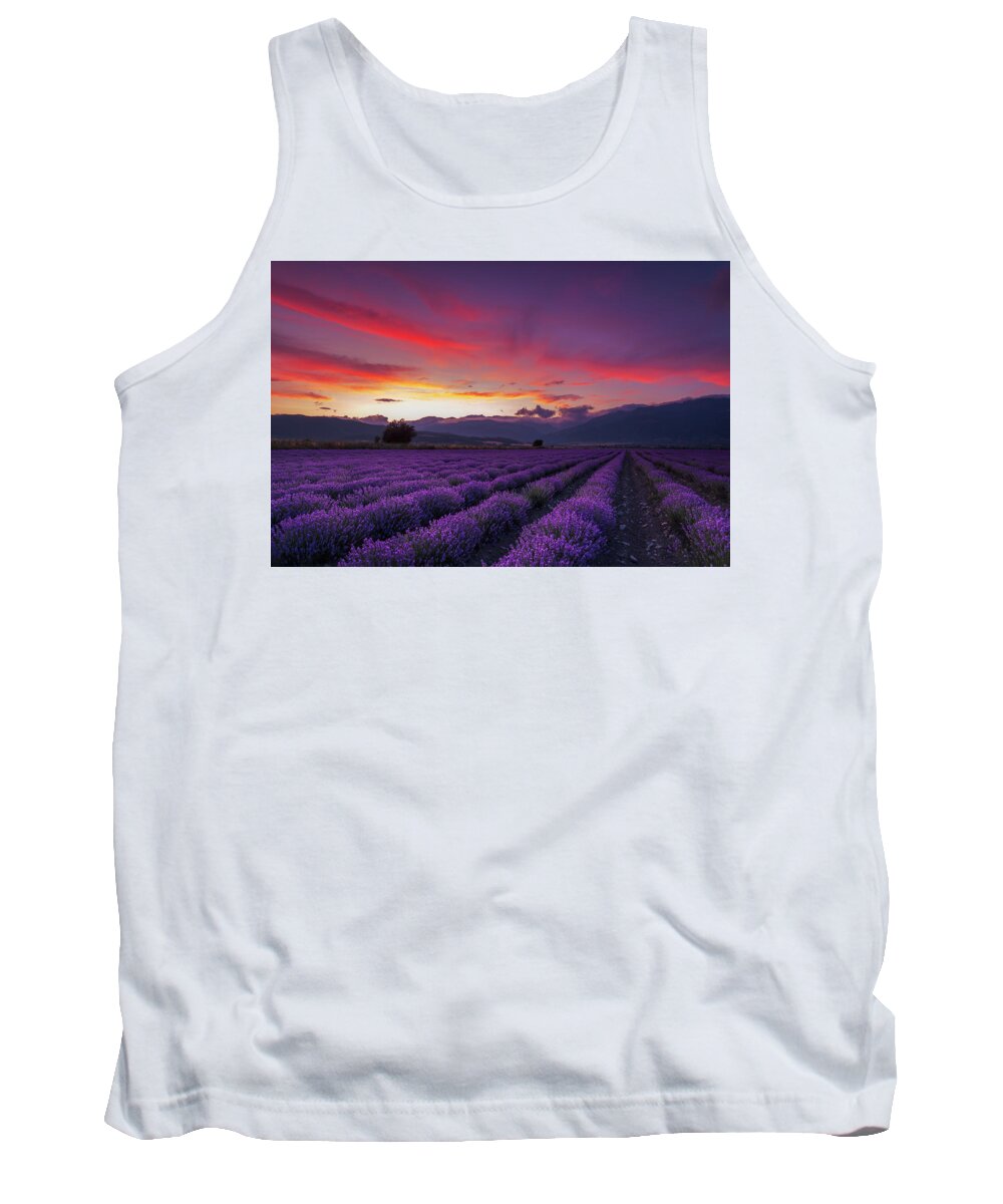 Dusk Tank Top featuring the photograph Lavender Season by Evgeni Dinev
