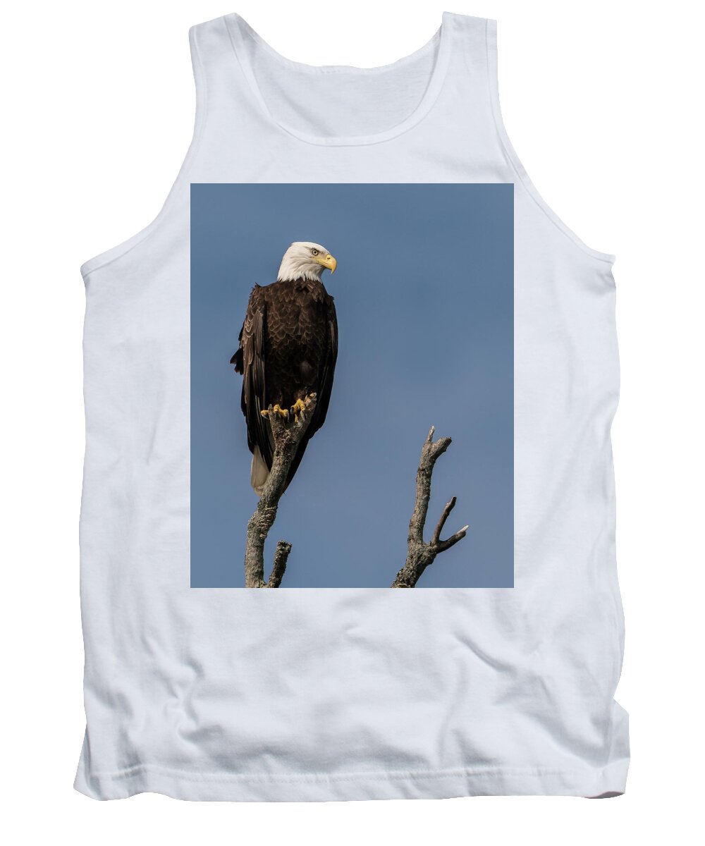 Bald Eagle Tank Top featuring the photograph Lookout by Linda Shannon Morgan