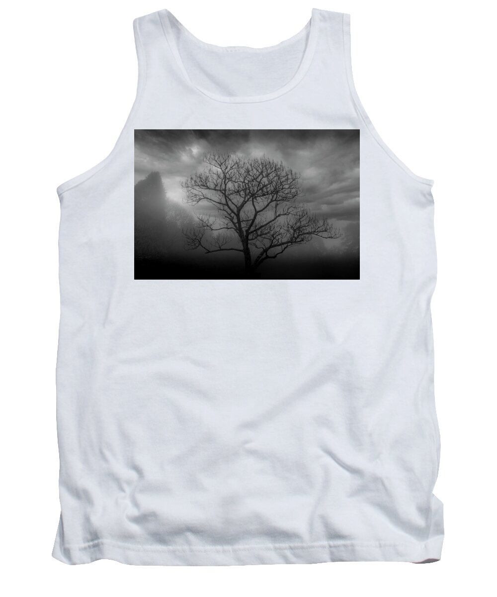 Mist Tank Top featuring the photograph Moody Tree by Chris Boulton