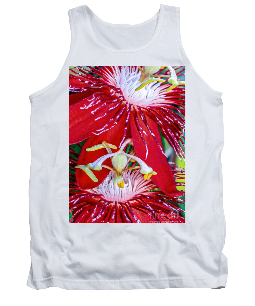 Flower Tank Top featuring the photograph PassionFlowers by Joanne Carey