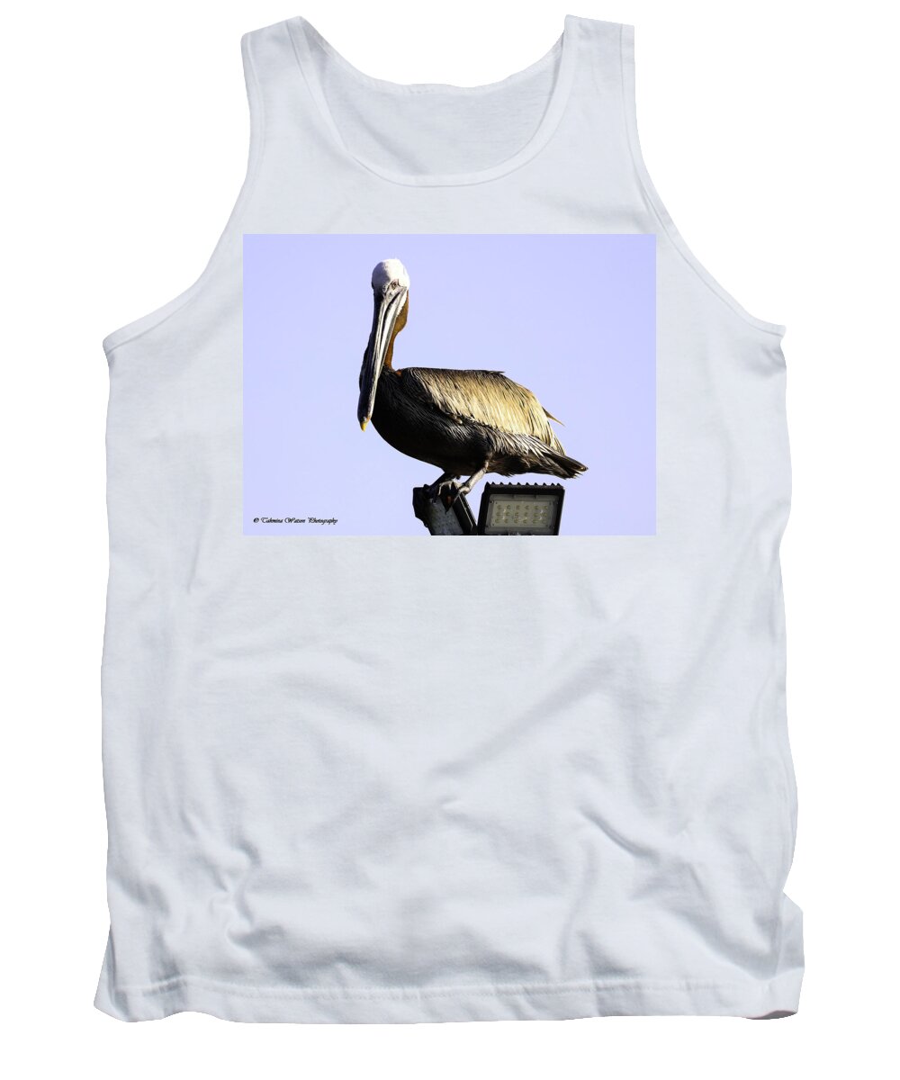 Brown Pelican Tank Top featuring the photograph Pelican Elegance by Tahmina Watson
