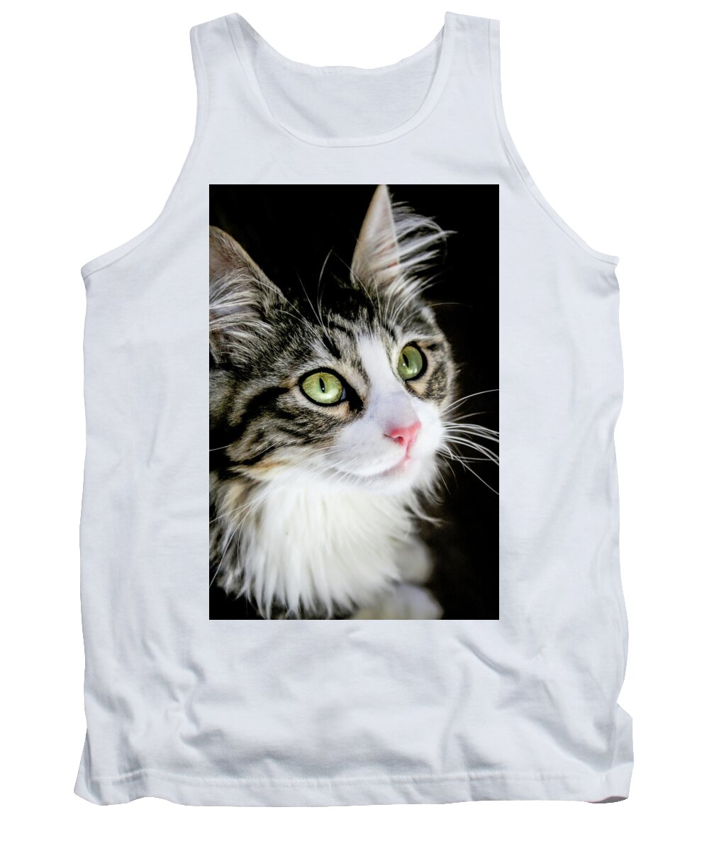 Cat Tank Top featuring the photograph Portrait of BooBoo the Cat by Sally Bauer
