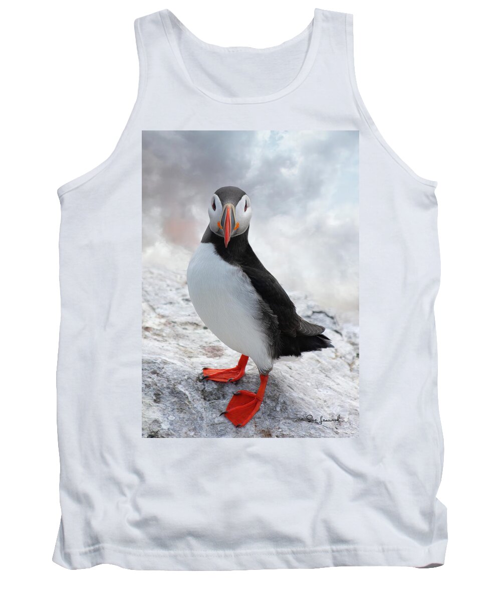 Bird Tank Top featuring the photograph Puffin by Sue Leonard