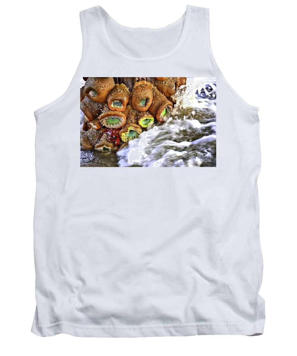 Sea Anemone Tank Top featuring the photograph Sea Anemone and Crab by Vivian Krug Cotton