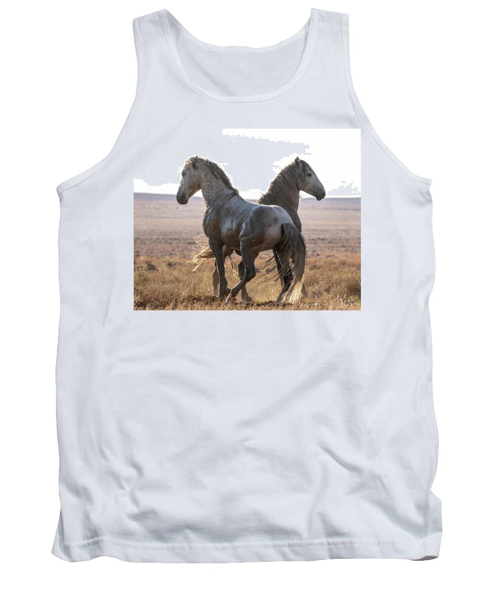 Wild Horses Tank Top featuring the photograph Sunset Scuffle by Mary Hone
