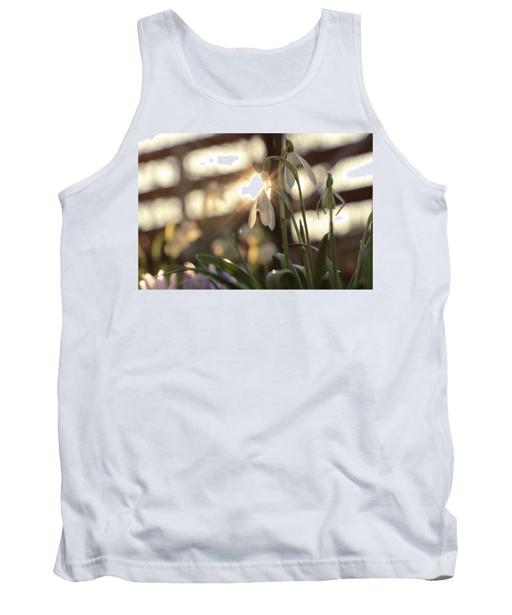 Misty Tank Top featuring the photograph Sunshine goes through Galanthus nivalis by Vaclav Sonnek