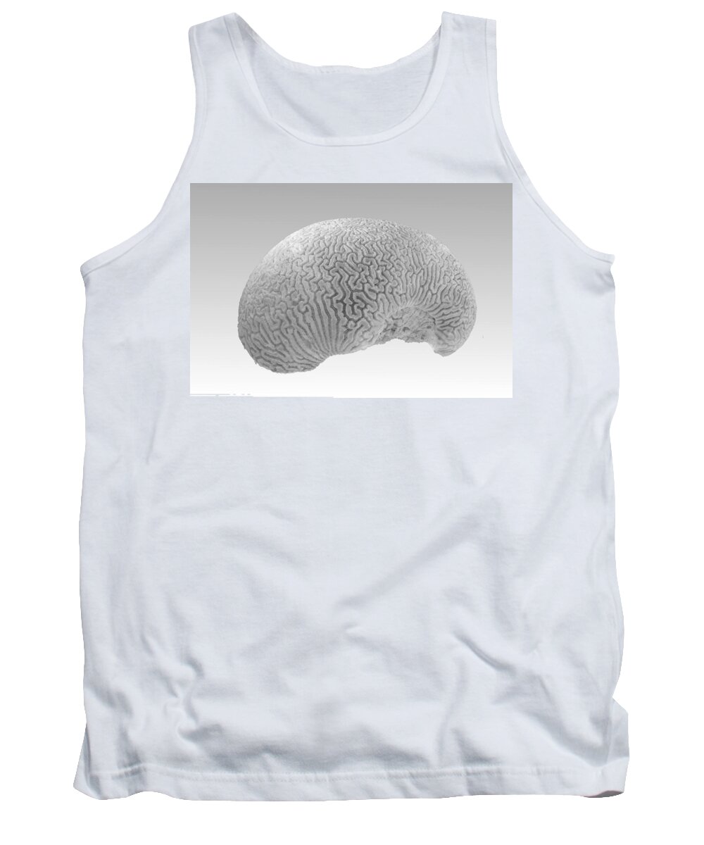 Anthozoan Tank Top featuring the photograph The brain of Neptune by Karine GADRE