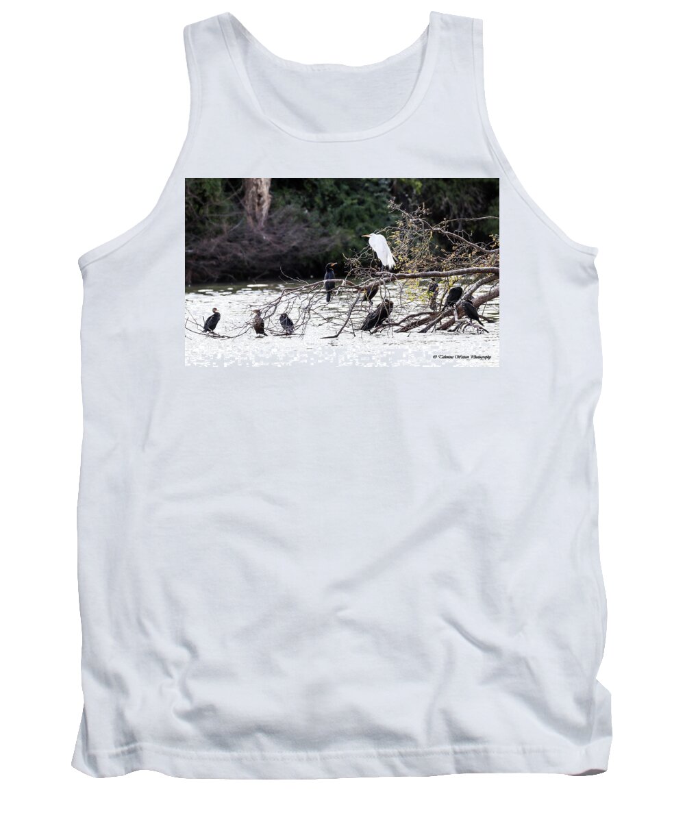 Egret Tank Top featuring the photograph The Great Egret and Her Court by Tahmina Watson