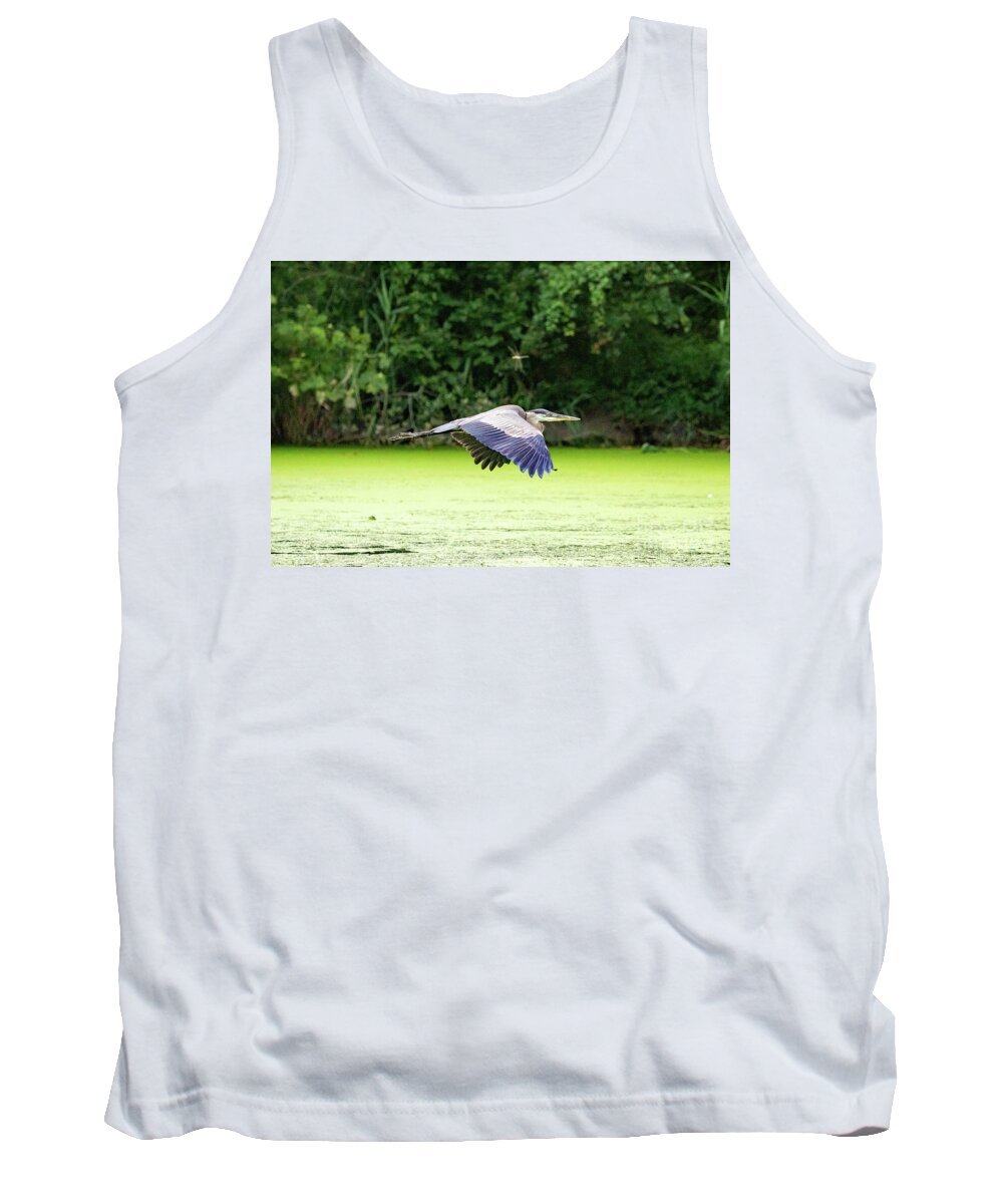 Great Blue Heron Tank Top featuring the photograph The Heron and Dragonfly by Alyssa Tumale