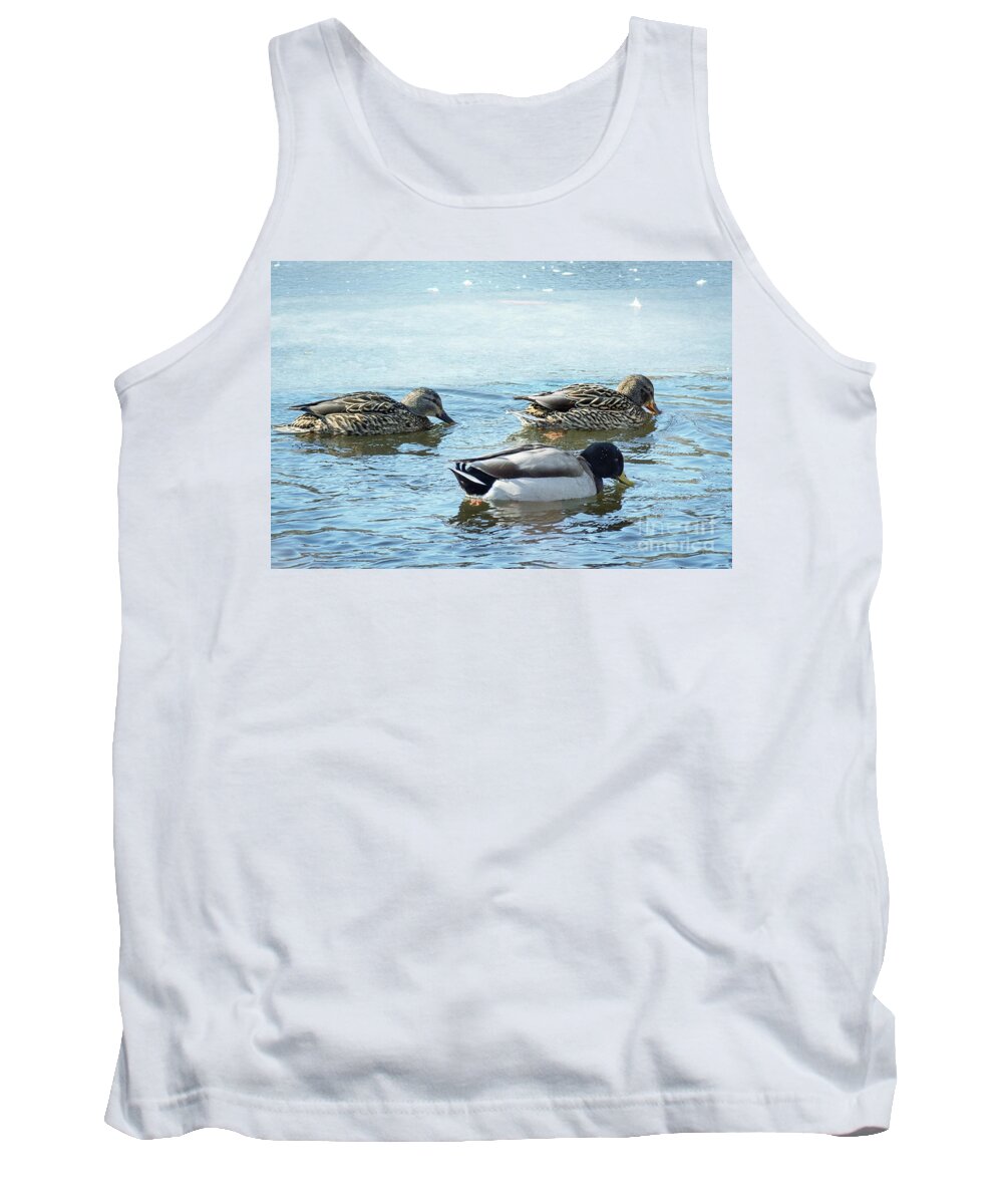 Winter Tank Top featuring the photograph Three Ducks in Winter by Lorraine Cosgrove