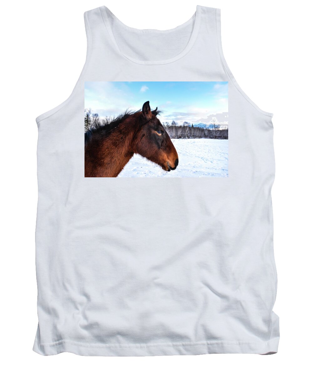 Winter Tank Top featuring the photograph Today is the Day by Listen To Your Horse