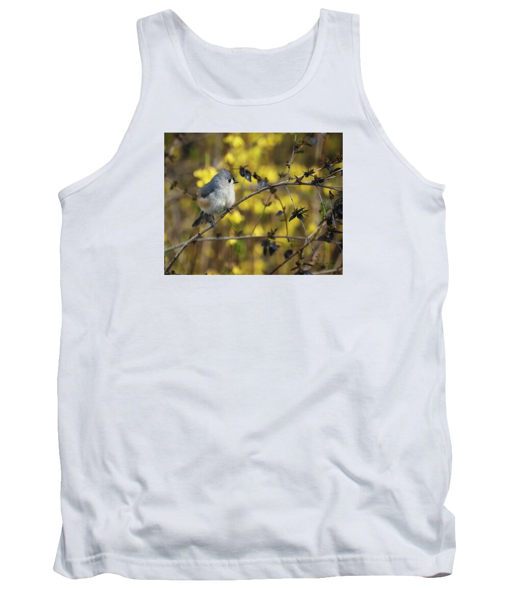 Tufted Titmouse In Abelia Shrub In South Carolina Tank Top featuring the photograph Tufted Titmouse In Abelia Shrub In South Carolina by Bellesouth Studio