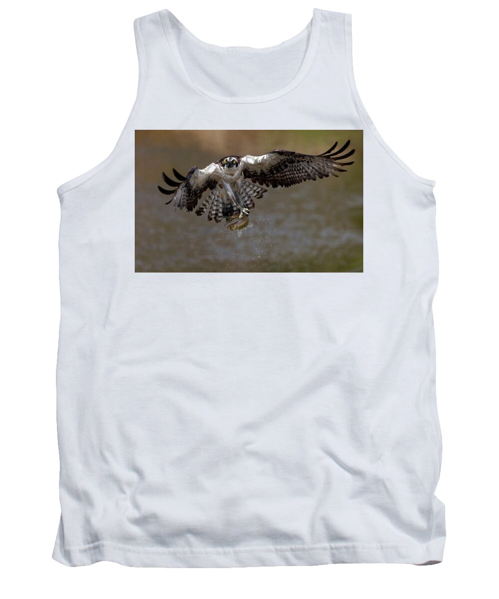 Raptor Tank Top featuring the photograph Shake Twist Turn by Art Cole