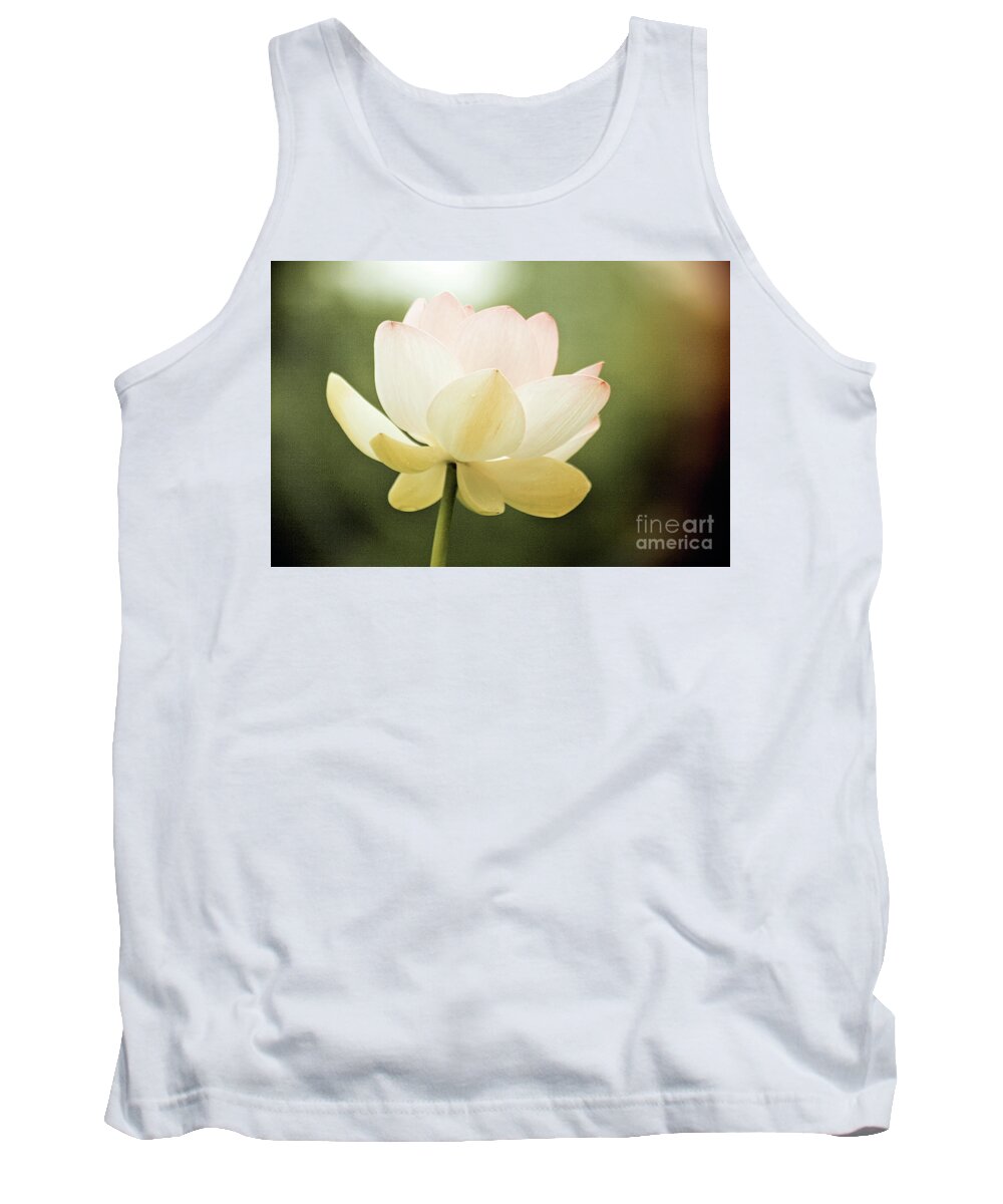 Lotus; Lotus Blossom; Water Lily; Water Lilies; Lily; Lilies; Flowers; Flower; Floral; Flora; White; White Water Lily; White Flowers; Green; Pink; Vintage; Simple; Decorative; Décor; Abstract; Close-up Tank Top featuring the photograph Vintage Lotus by Tina Uihlein